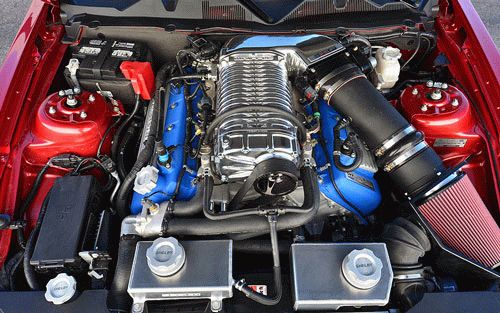 sport kary kupe tyuning ford  | mustang gt500 super snake 5 | Mustang GT500 | Тюнинг корпуса Ford Mustang 